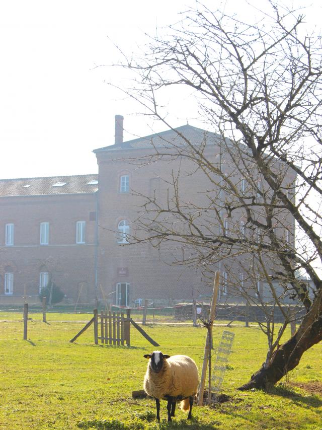 Abbaye Notre Dame Des Dombes