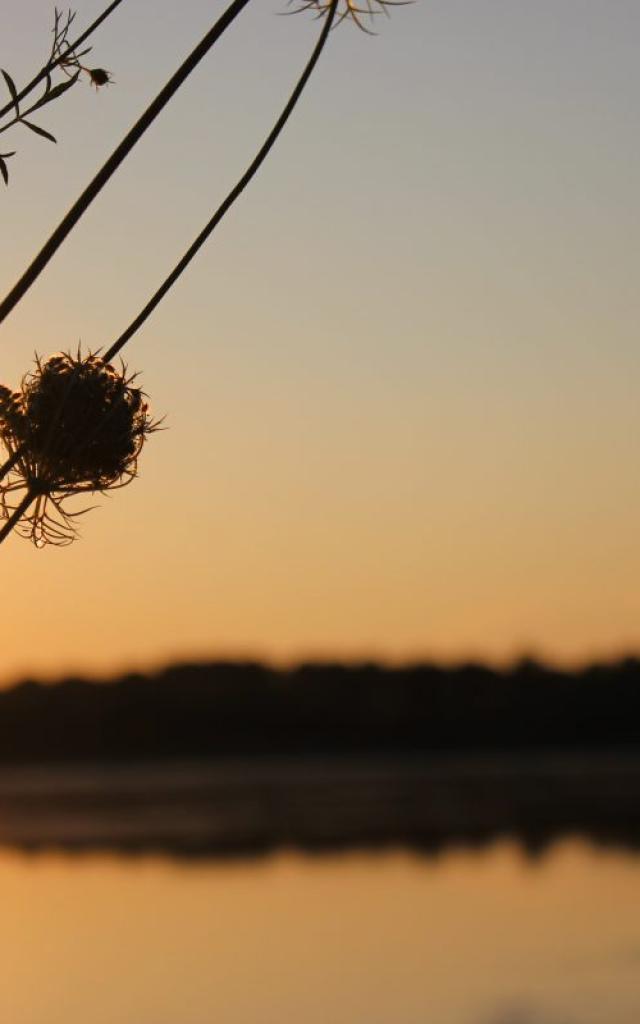 Lever de soleil sur un étang de la Dombes