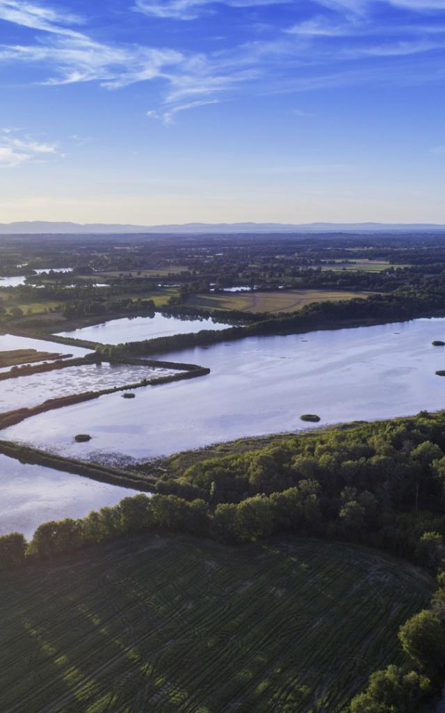 Les étangs de la Dombes