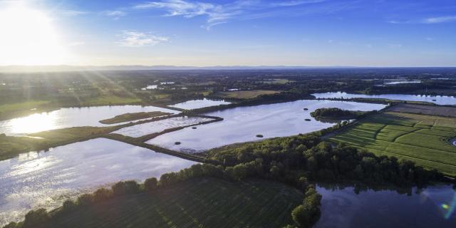 Les étangs de la Dombes