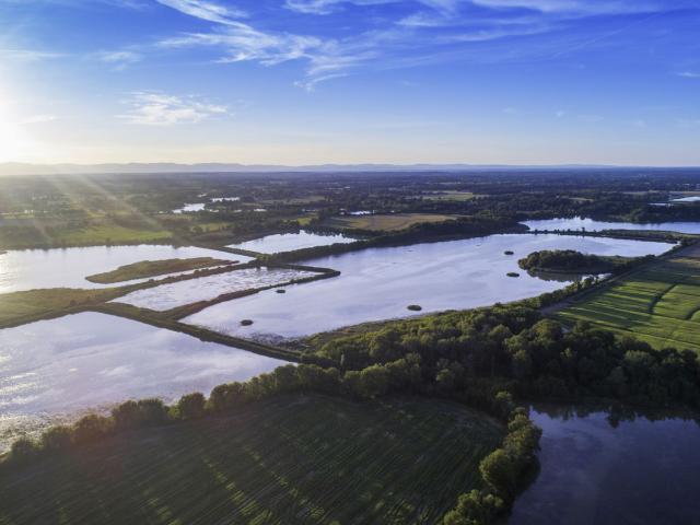 Les étangs de la Dombes