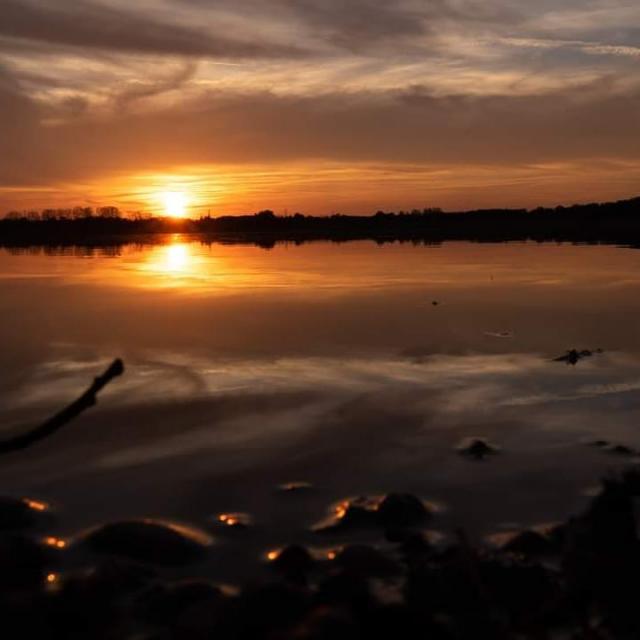 Crépuscule sur un étang de la Dombes