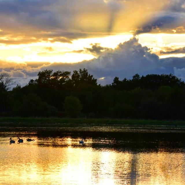 Coucher de soleil sur les étangs de la Dombes