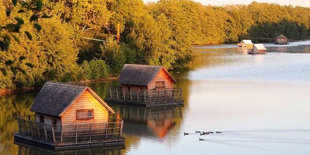 Hébergement insolite cabanes sur l'eau au Domaine de la Dombes