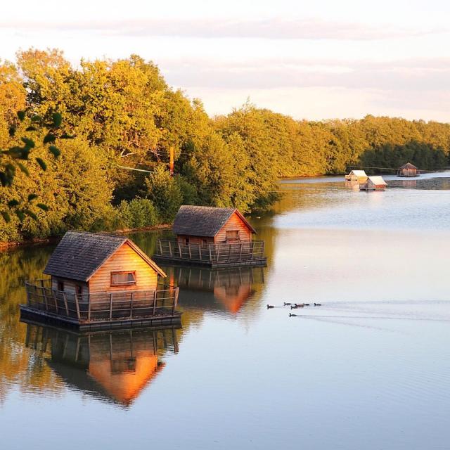 Hébergement insolite cabanes sur l'eau au Domaine de la Dombes