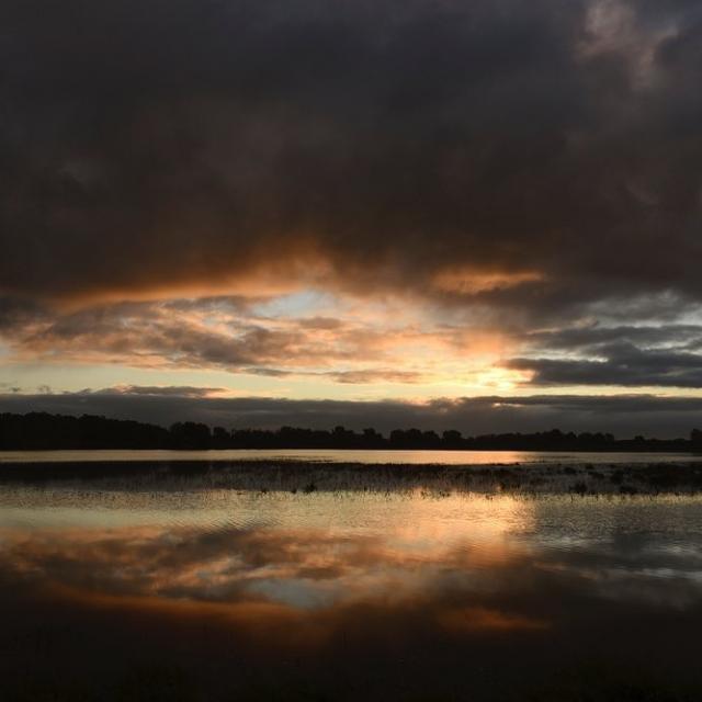 Lever de soleil sur un étang de la Dombes