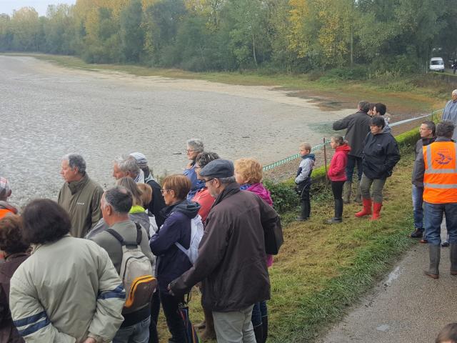 Pêche d'étang commentée - Journées Poissons de Dombes