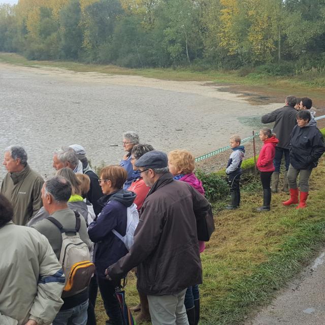 Pêche d'étang commentée - Journées Poissons de Dombes