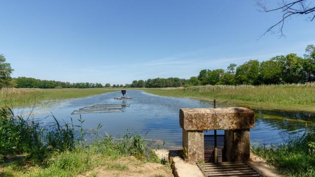 Balade aux bords des étangs de la Dombes