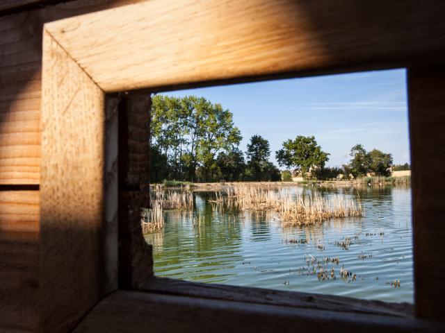 Vue de l'observatoire de l'étang Prele