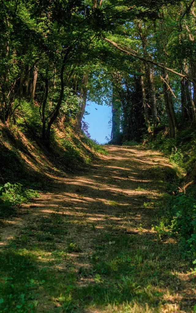 Circuit De Gévrieux Balade En Dombes