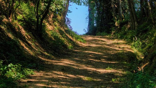 Circuit De Gévrieux Balade En Dombes