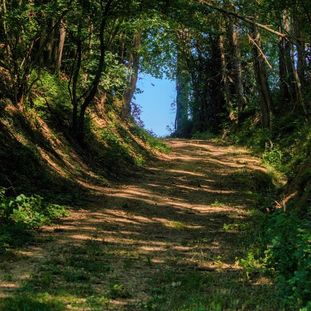 Circuit De Gévrieux Balade En Dombes