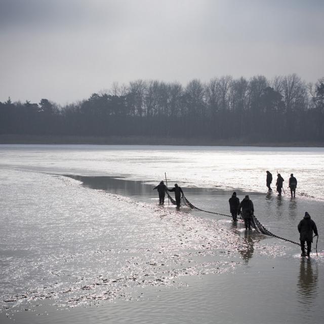 Pêche d'etang ©Didier Jungers