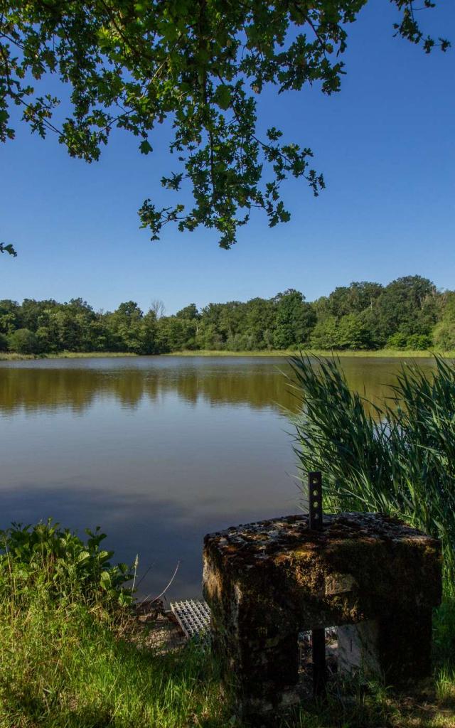 Etang à Sainte Olive