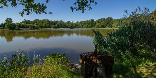 Etang à Sainte Olive