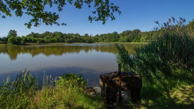 Etang à Sainte Olive