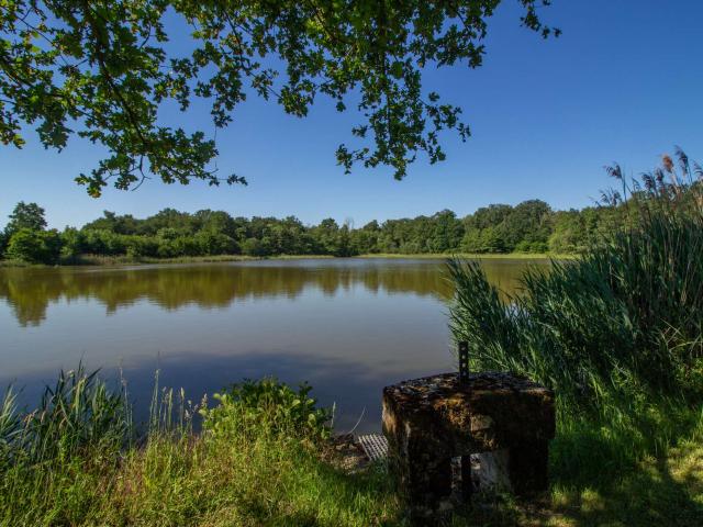 Etang à Sainte Olive