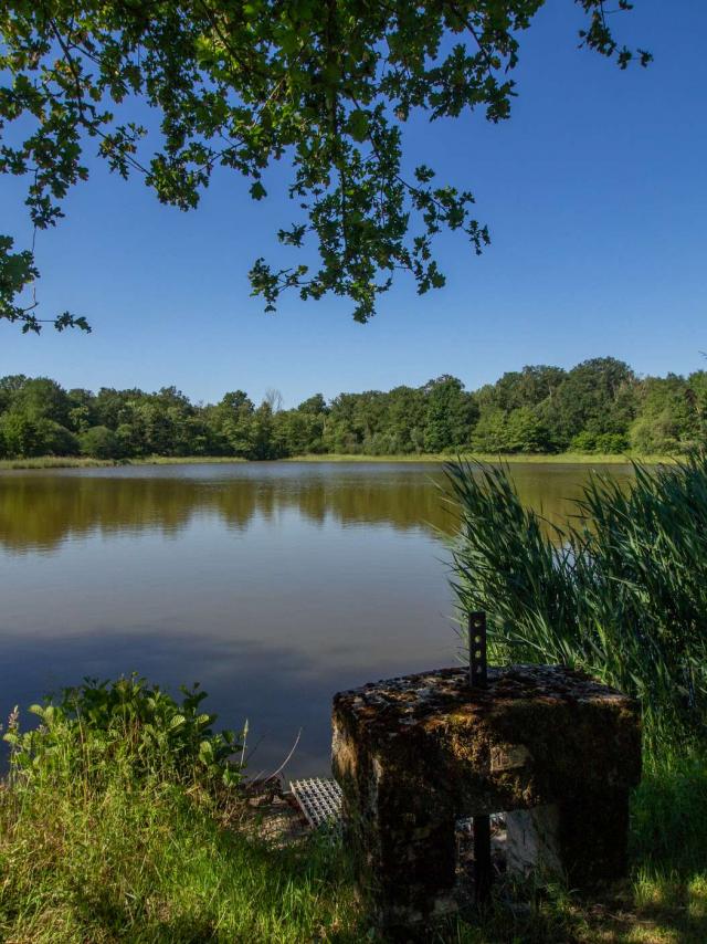 Etang à Sainte Olive