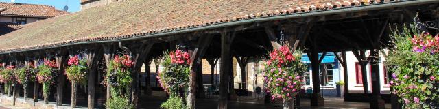 Halles de Chatillon Sur Chalaronne