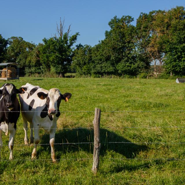 Balade en Dombes -Villette-sur-Ain / De l'Ain au Plateau