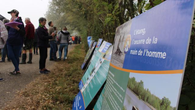 Journées Poissons de Dombes