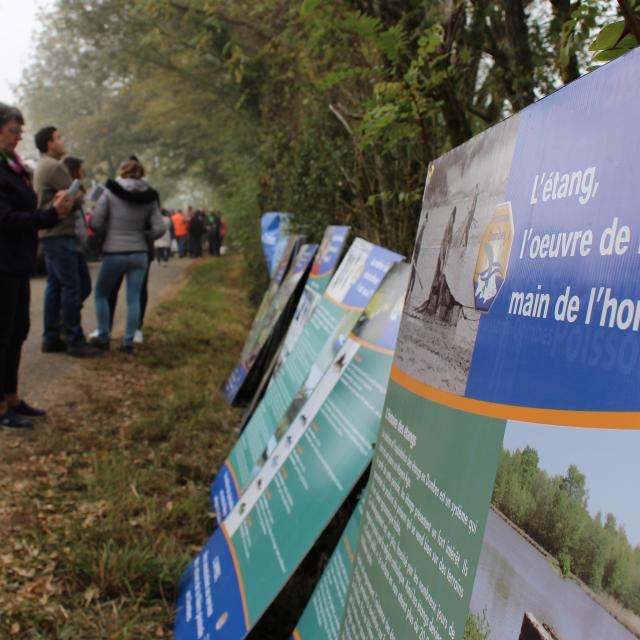 Journées Poissons de Dombes