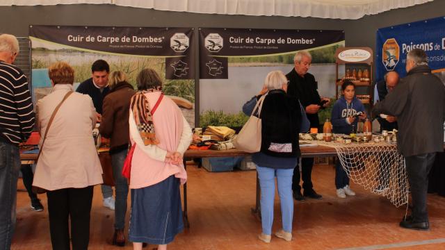 Présentation du cuir de carpe de Dombes