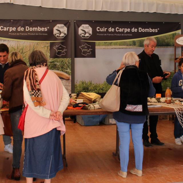 Présentation du cuir de carpe de Dombes