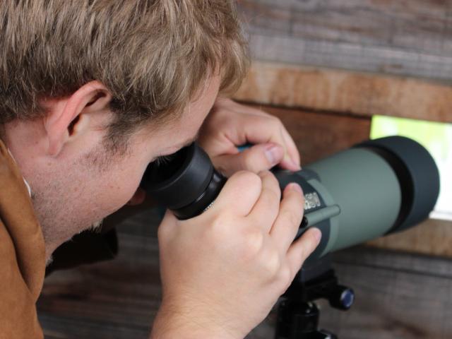 Observation des Oiseaux