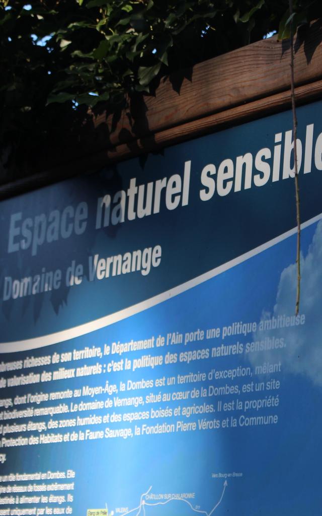 Domaine de Vernange - Espace Naturel Sensible