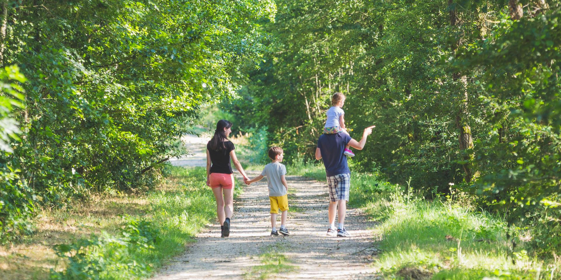 Walking routes in the Dombes