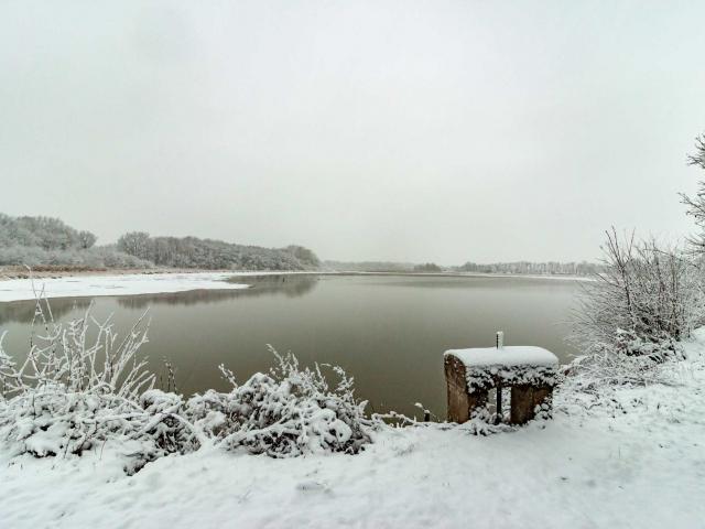 La Dombes sous la neige