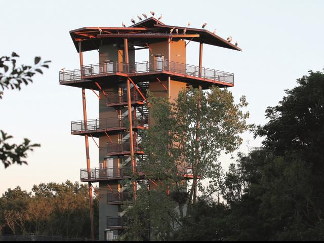 La Tour Panoramique du Parc des Oiseaux