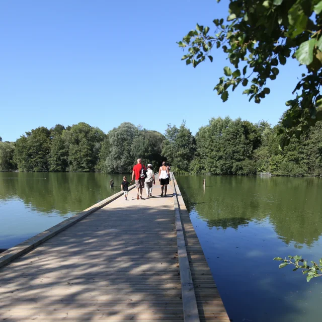 Passerelle du Parc des Oiseaux