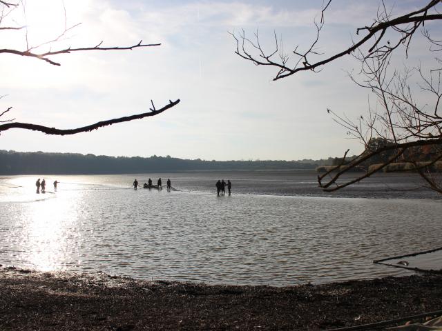 Pêche des étangs de la Dombes