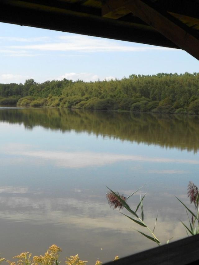 Vue sur l'étang de Vernange depuis l'observatoire