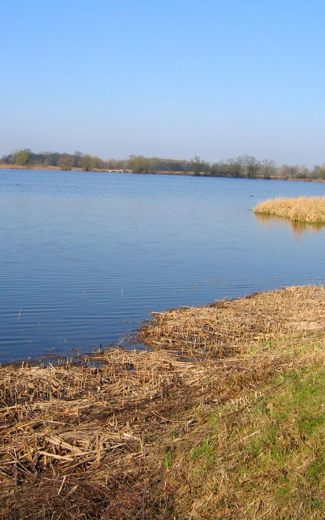 Etang Turlet - Villars les Dombes