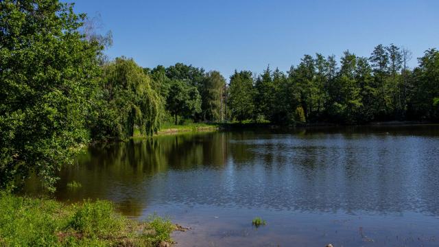 Etang de Sainte Olive