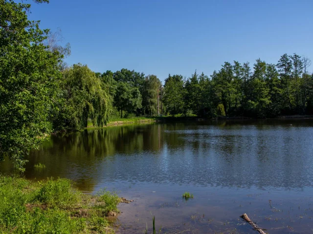 Etang de Sainte Olive