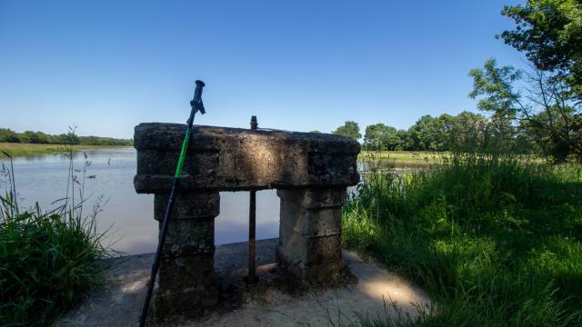 Randonnée proche de Lyon au bord des étangs de la Dombes