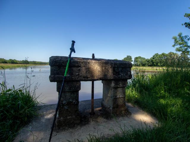 Balade en Dombes au bord des étangs