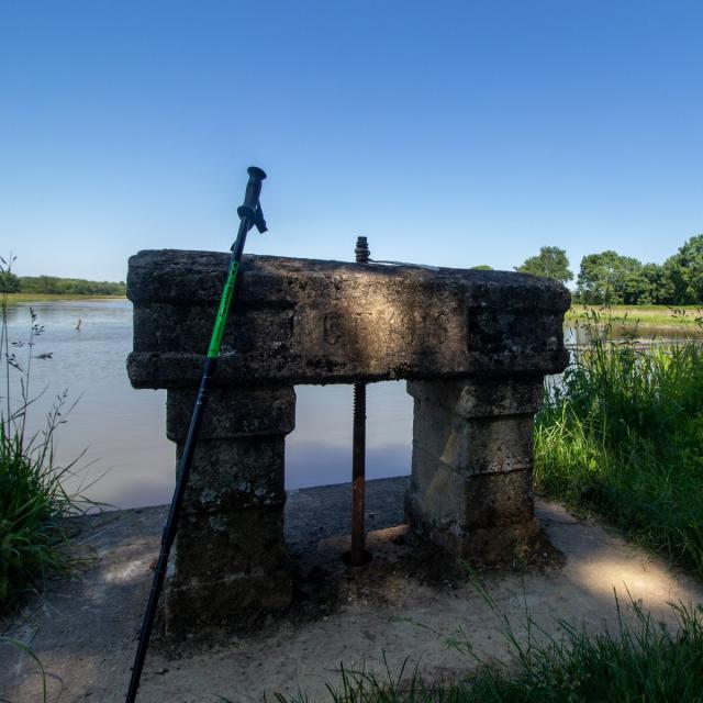 Randonnée proche de Lyon au bord des étangs de la Dombes