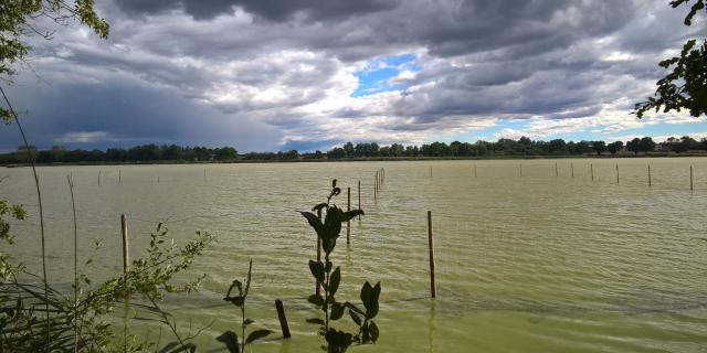 Etang Grand Birieux