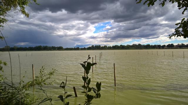 Etang Grand Birieux