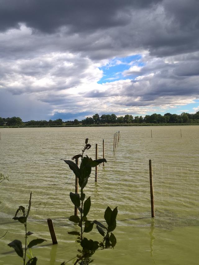 Etang Grand Birieux