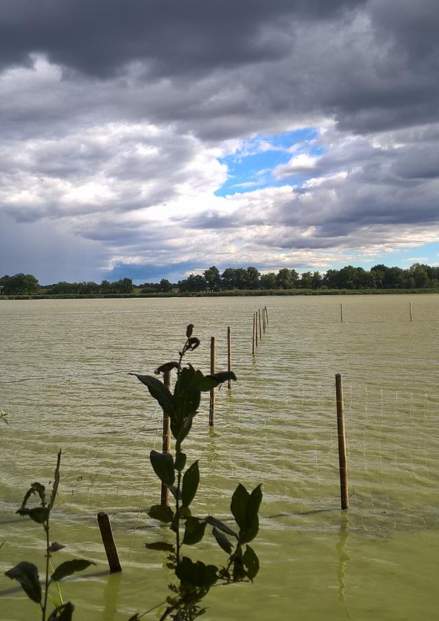 Etang Grand Birieux