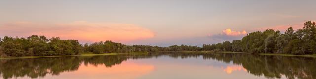 Etang de la Dombes