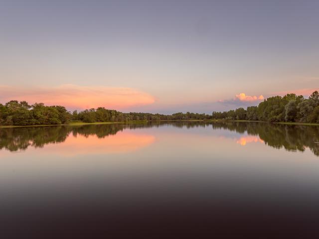 Etang de la Dombes