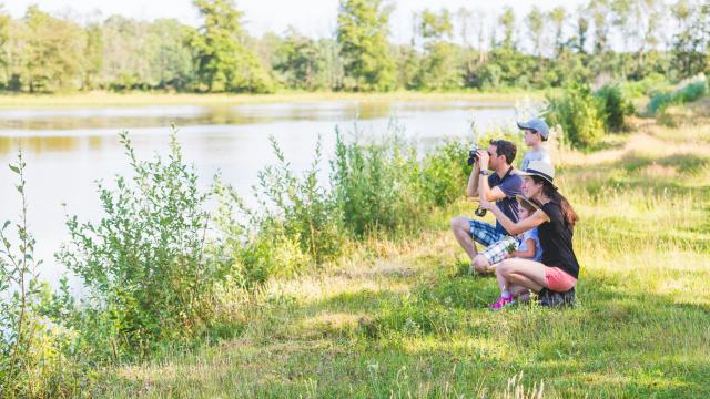 Balade au bord des étangs de la Dombes